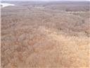 80+/-acres Proctor Lane Property Photo 45