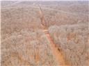 80+/-acres Proctor Lane Property Photo 50