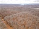 80+/-acres Proctor Lane Property Photo 51