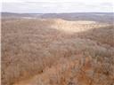 80+/-acres Proctor Lane Property Photo 52