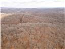 80+/-acres Proctor Lane Property Photo 53