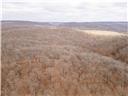 80+/-acres Proctor Lane Property Photo 54