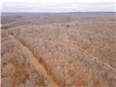 80+/-acres Proctor Lane Property Photo 55