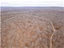 80+/-acres Proctor Lane Property Photo 59