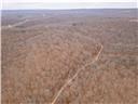 80+/-acres Proctor Lane Property Photo 61