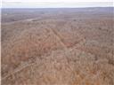 80+/-acres Proctor Lane Property Photo 62