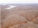 80+/-acres Proctor Lane Property Photo 65