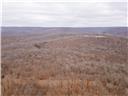 80+/-acres Proctor Lane Property Photo 70