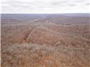 80+/-acres Proctor Lane Property Photo 72
