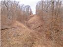 80+/-acres Proctor Lane Property Photo 73