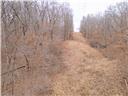 80+/-acres Proctor Lane Property Photo 74