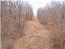 80+/-acres Proctor Lane Property Photo 75