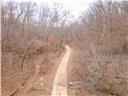 80+/-acres Proctor Lane Property Photo 76