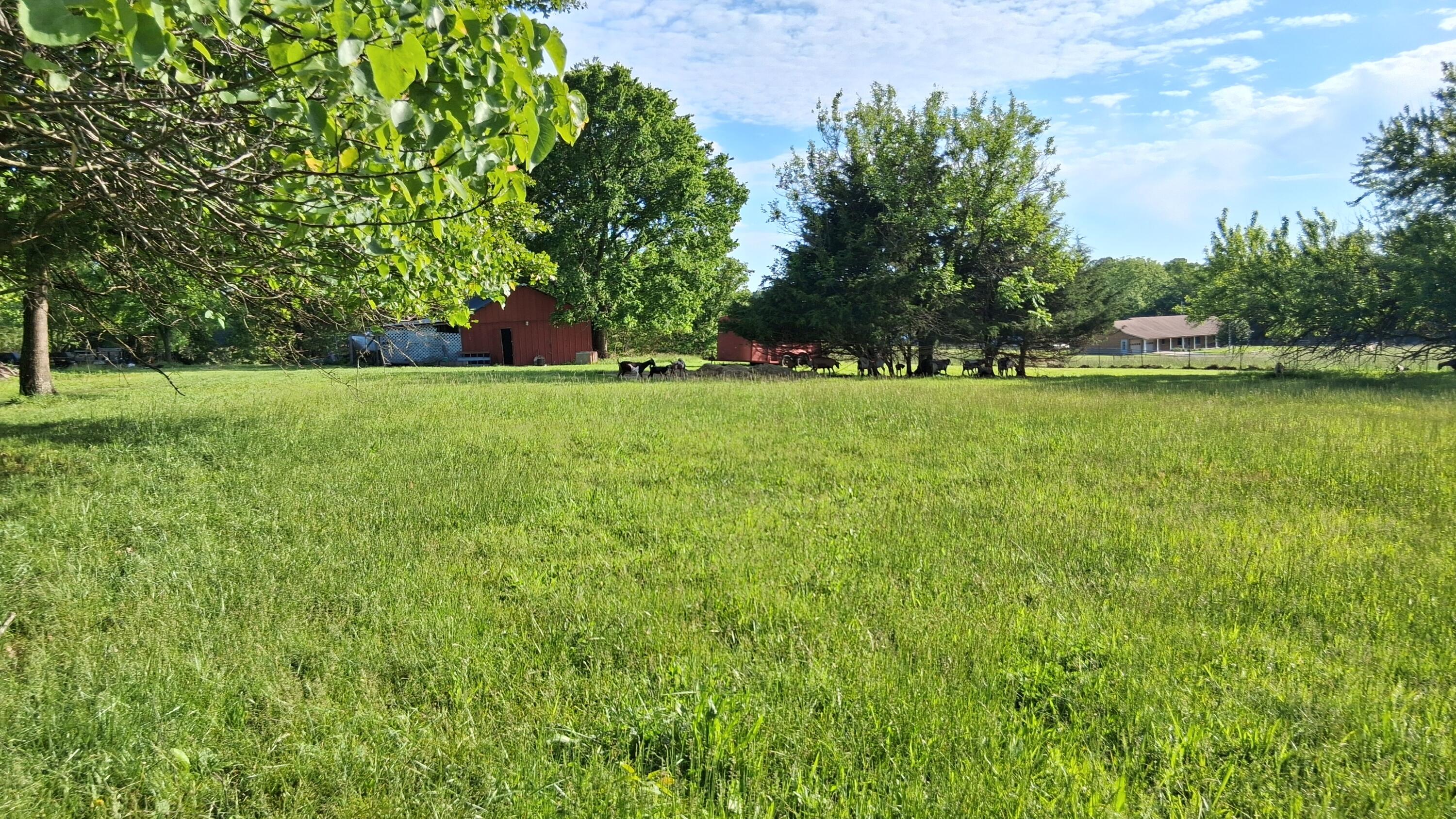 9953 State Highway C Property Photo 20