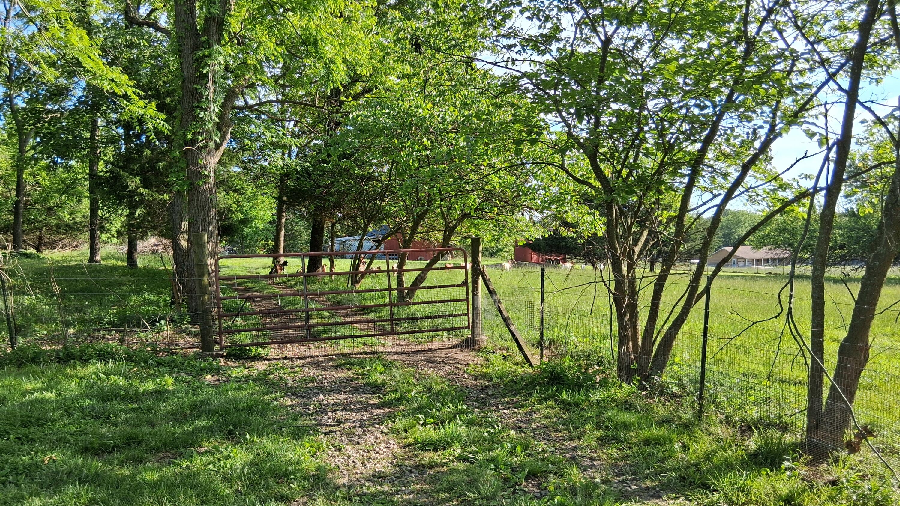 9953 State Highway C Property Photo 28