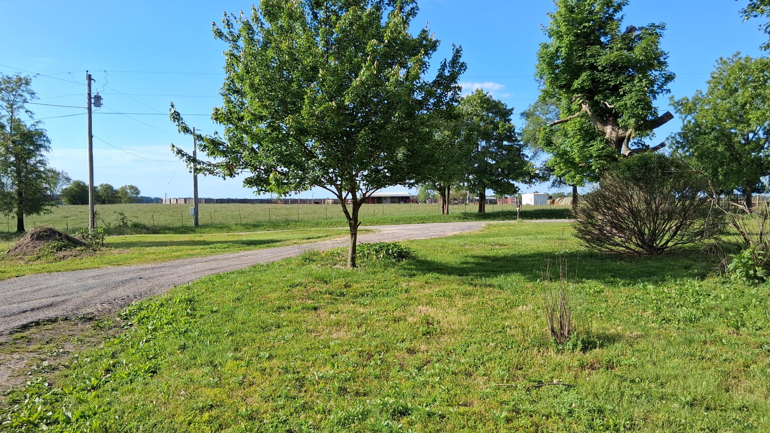 9953 State Highway C Property Photo 29