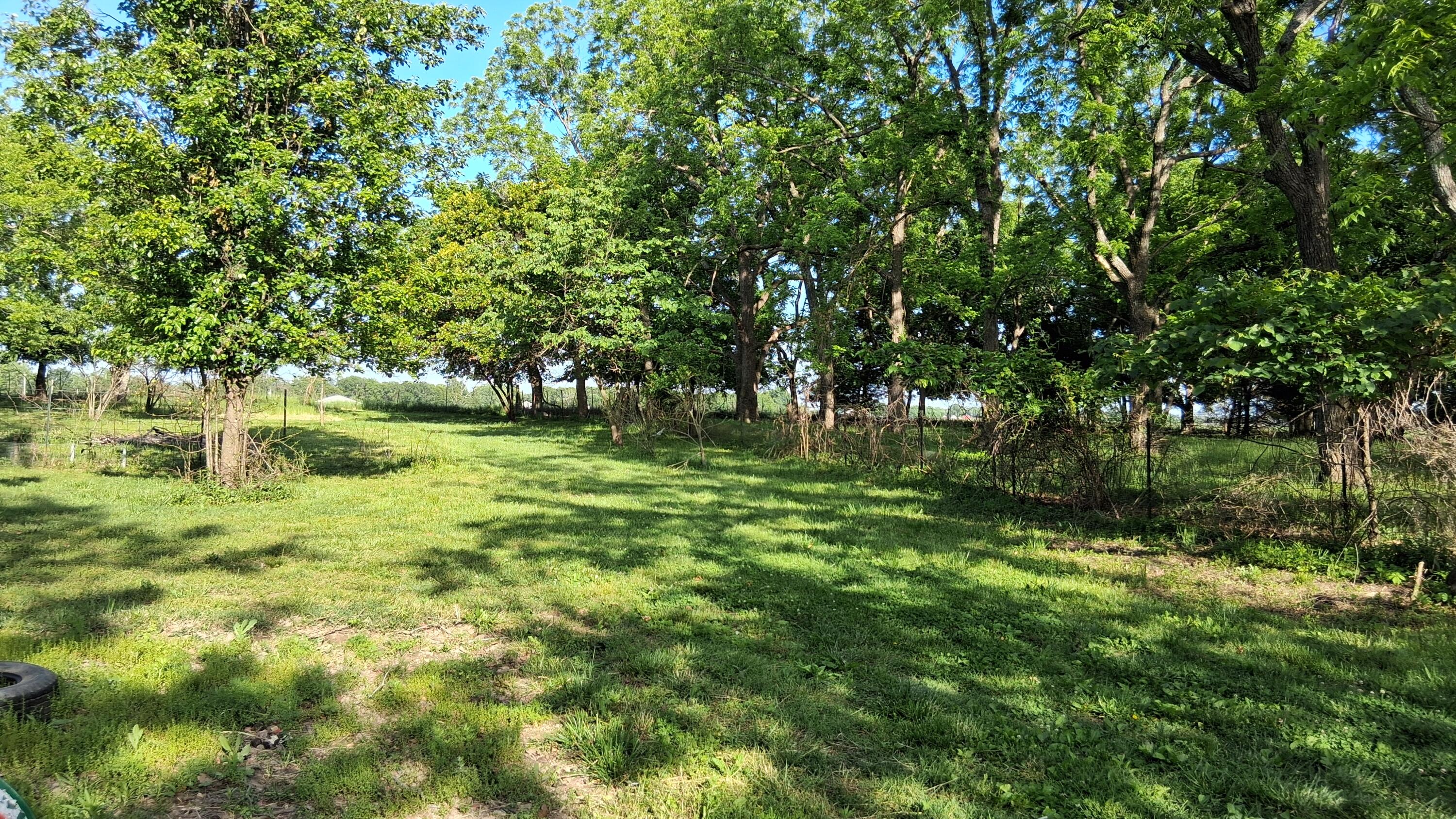 9953 State Highway C Property Photo 34