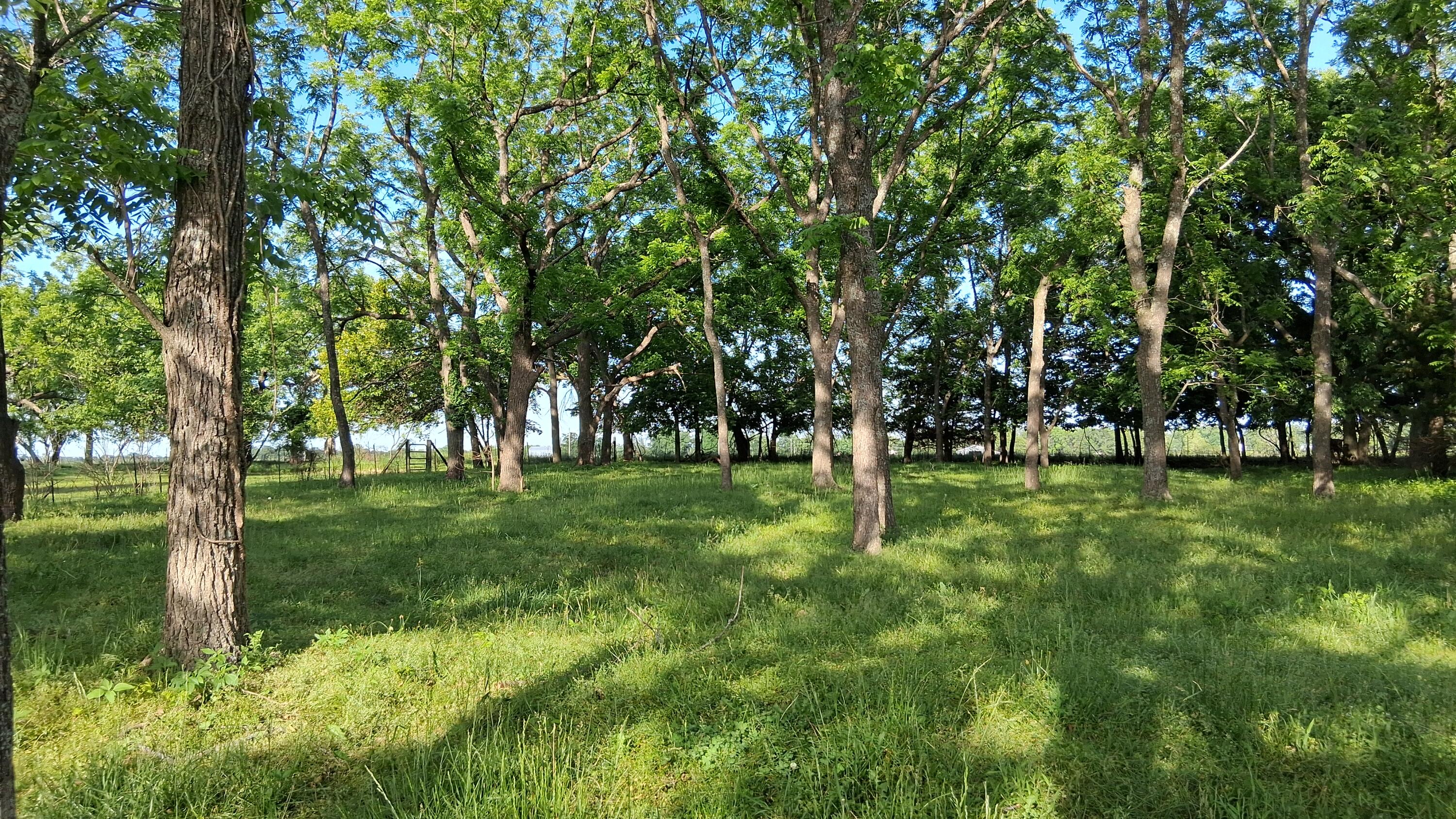9953 State Highway C Property Photo 35