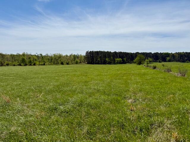 786 County Road 434 Property Photo 63