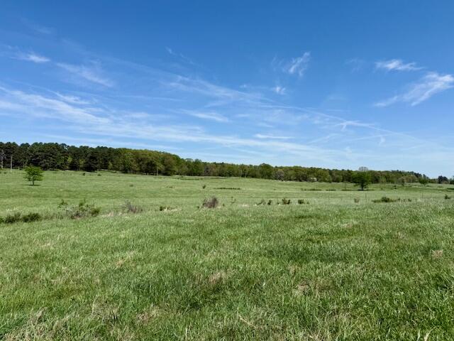 786 County Road 434 Property Photo 70