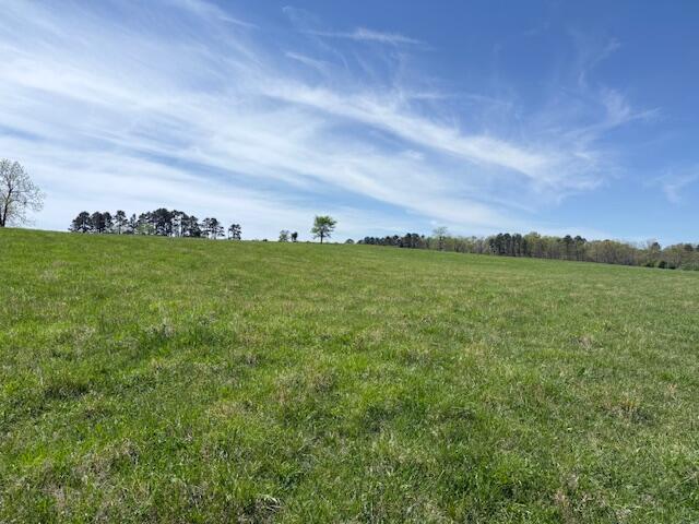 786 County Road 434 Property Photo 73