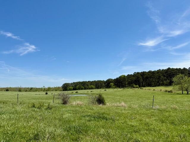 786 County Road 434 Property Photo 74