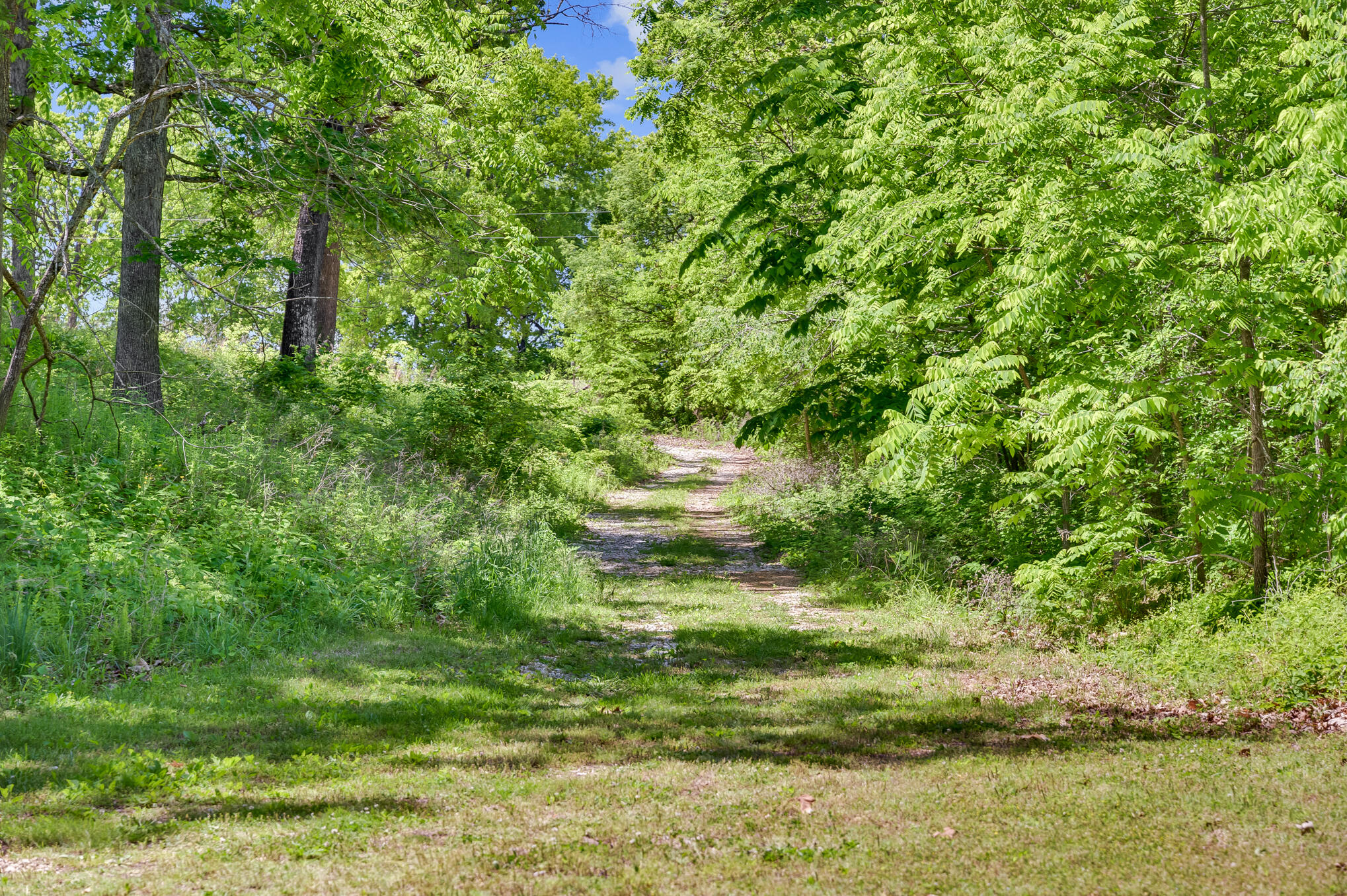 6004 Kentucky Road Property Photo 46
