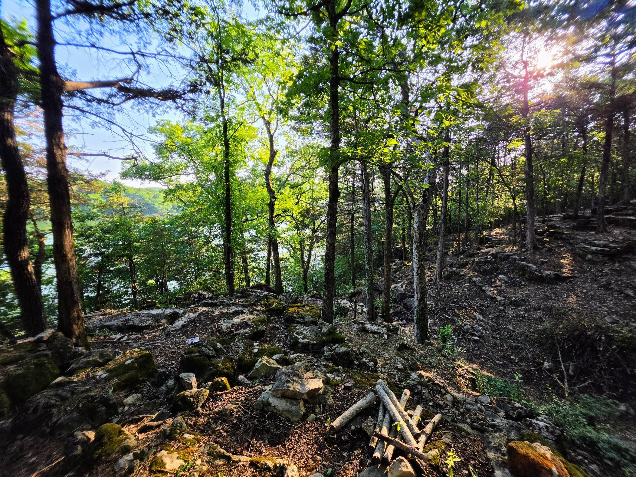 18679 Private Road 2261 Property Photo 6