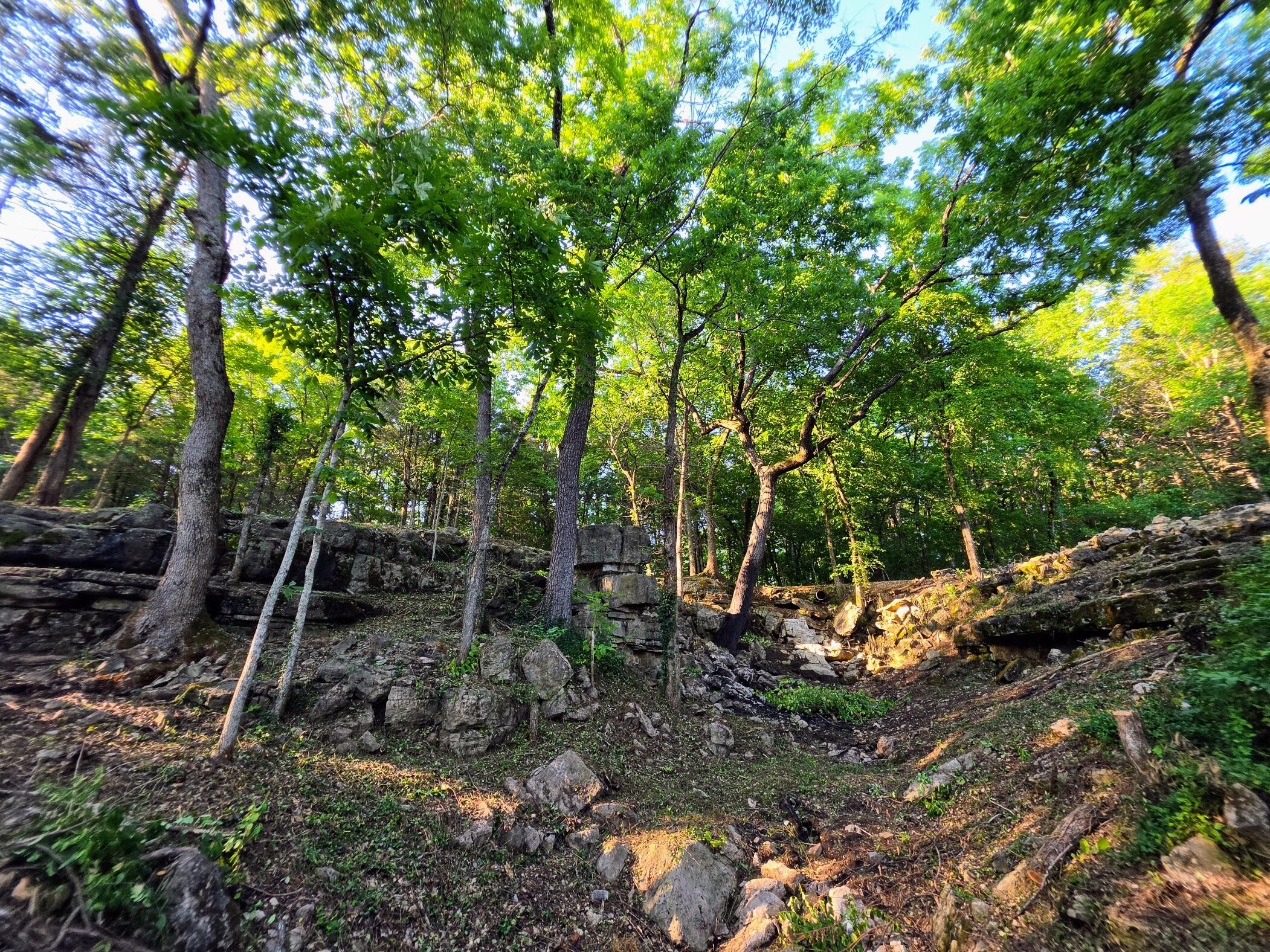 18679 Private Road 2261 Property Photo 20