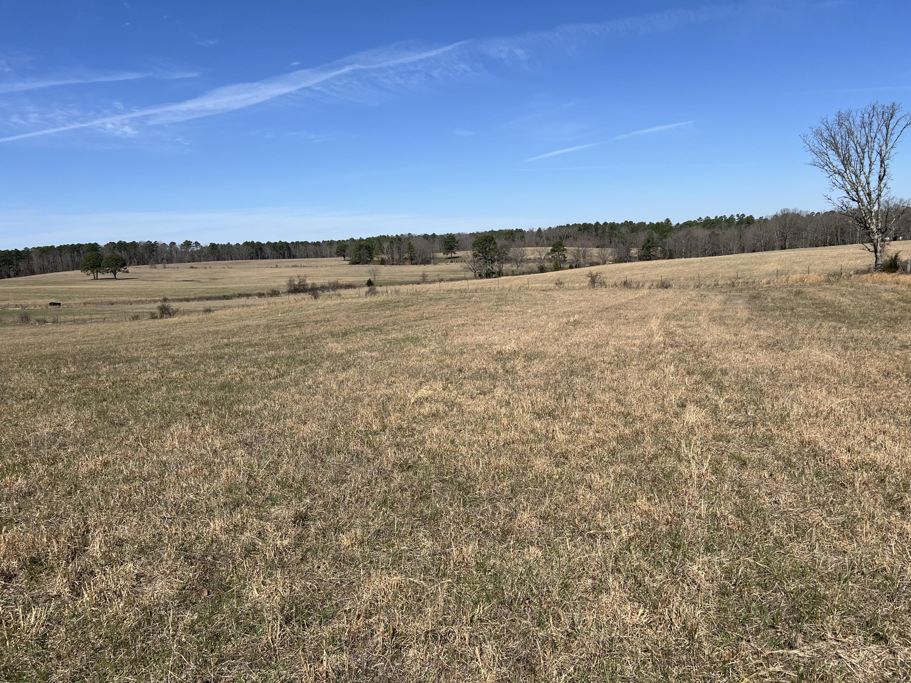 23813 State Route Z Property Photo 7
