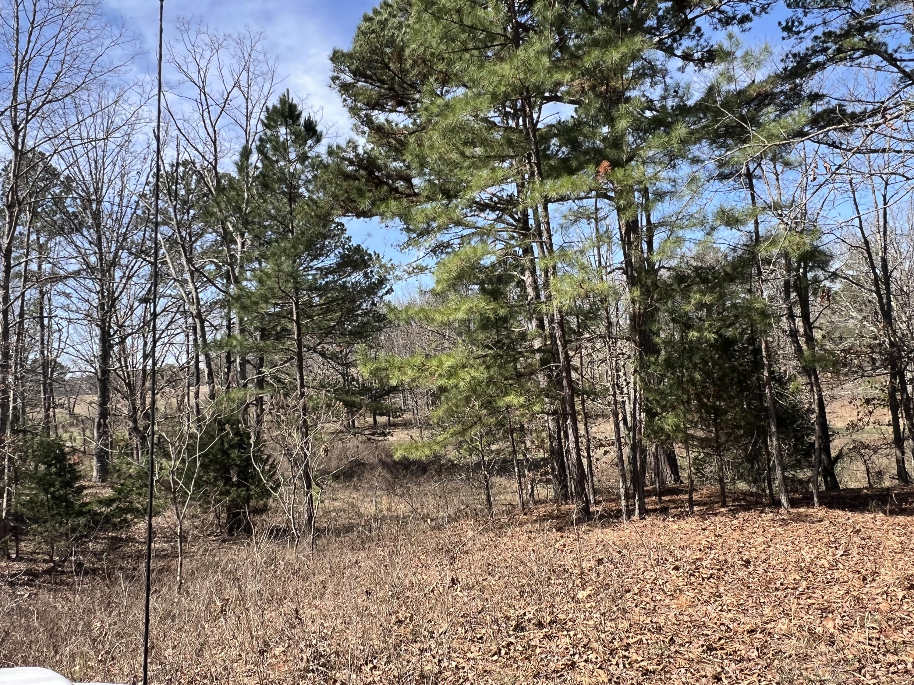 23813 State Route Z Property Photo 8
