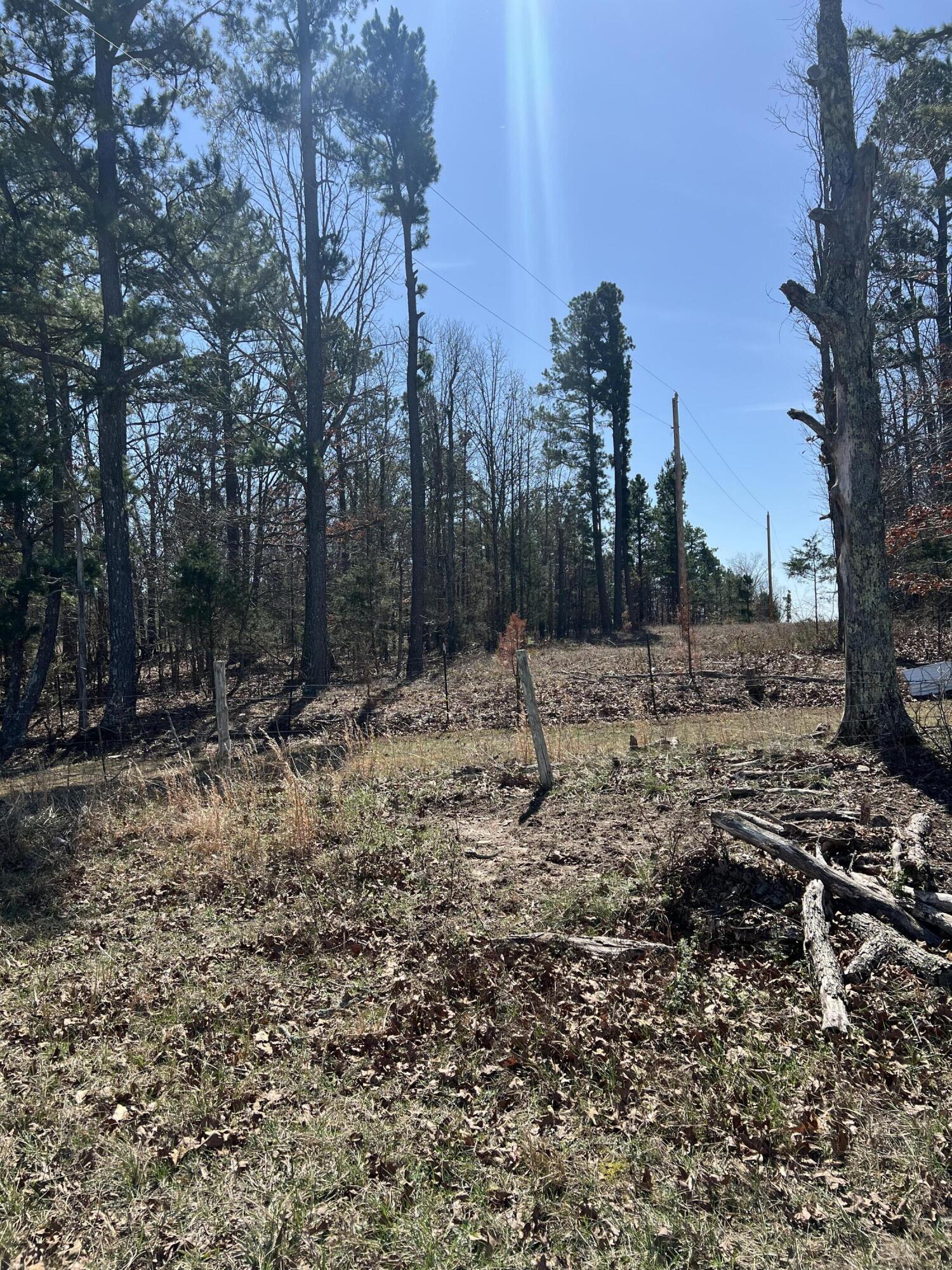 23813 State Route Z Property Photo 60