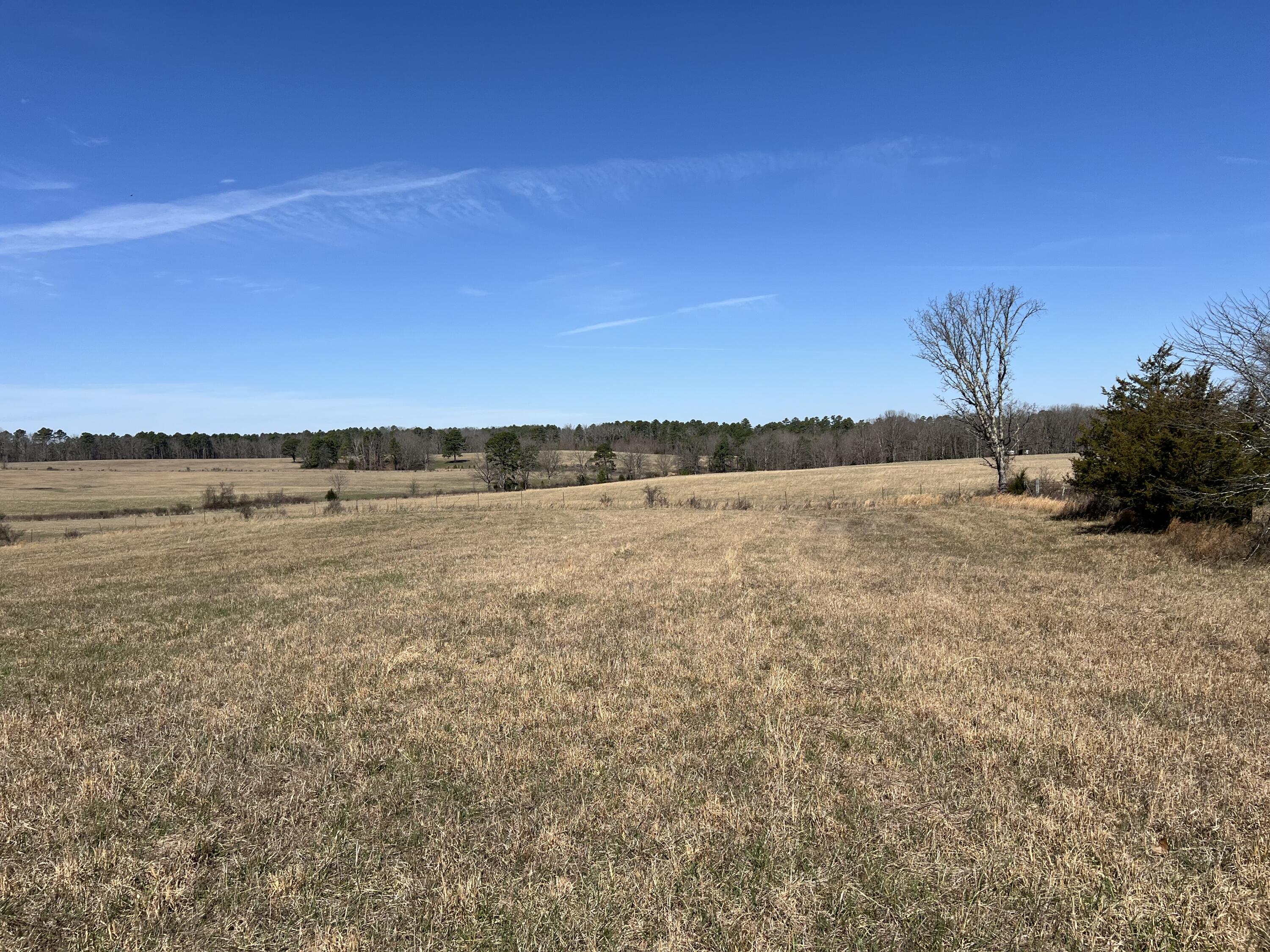 23813 State Route Z Property Photo 62
