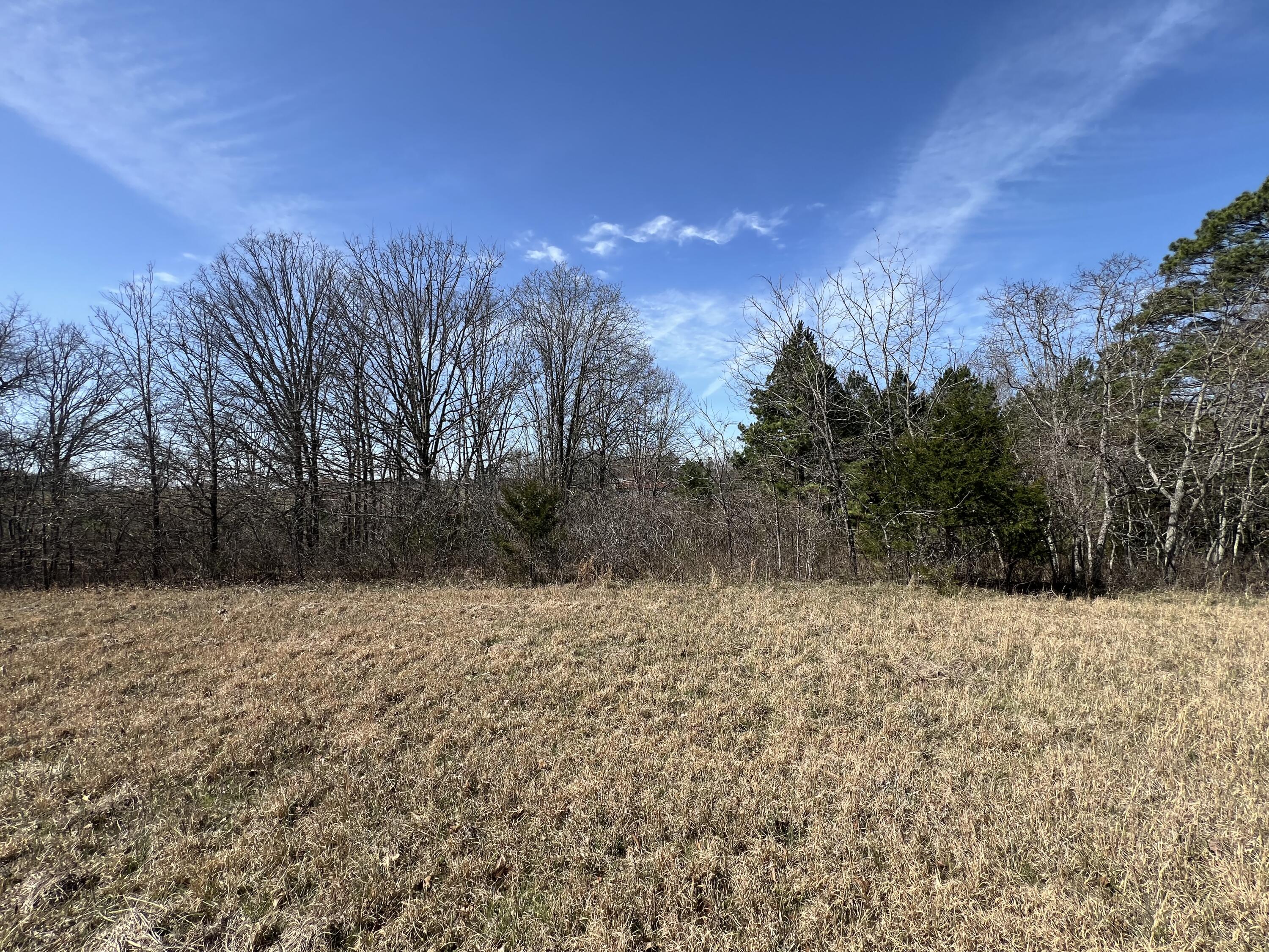 23813 State Route Z Property Photo 69