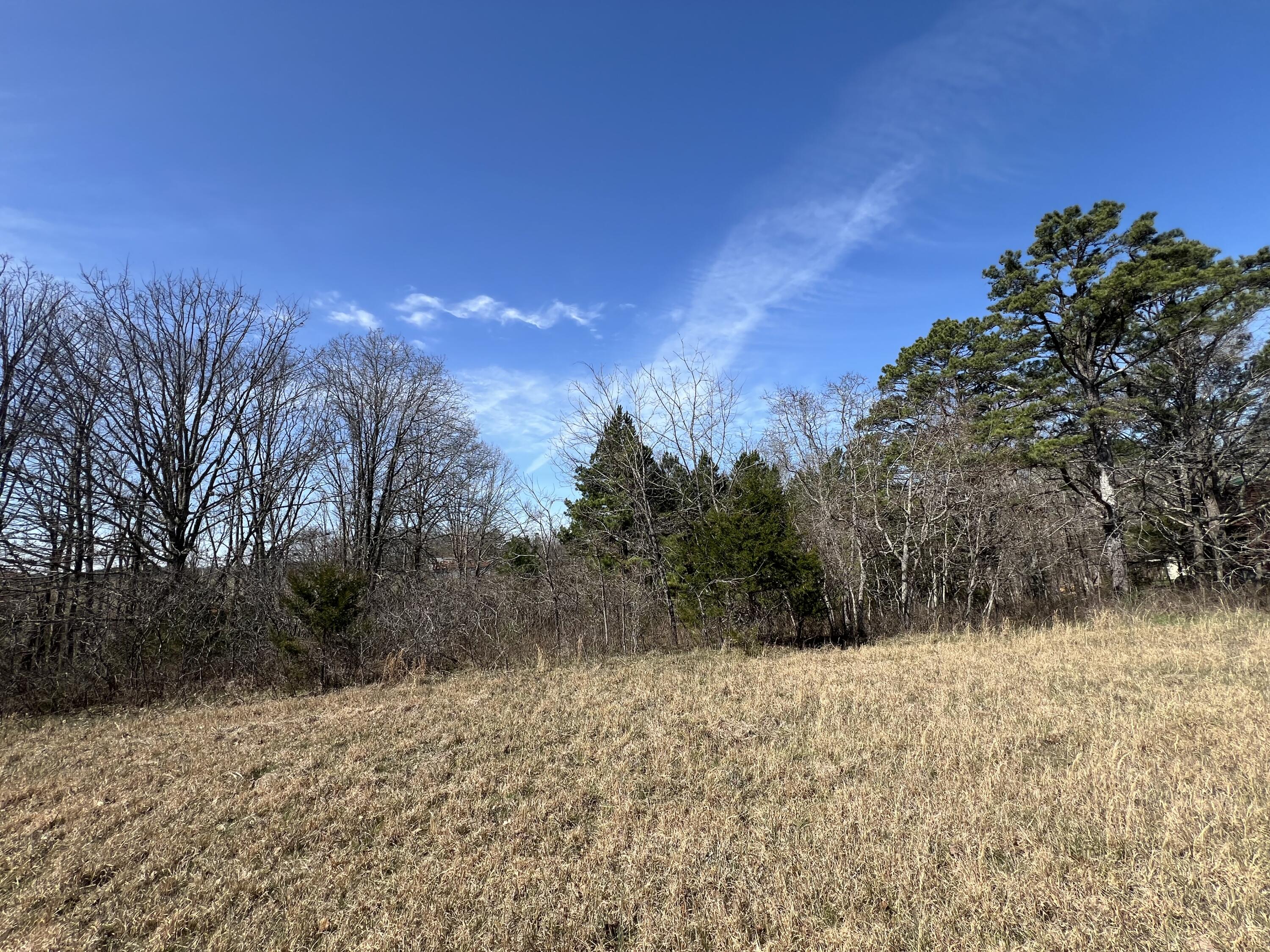 23813 State Route Z Property Photo 70