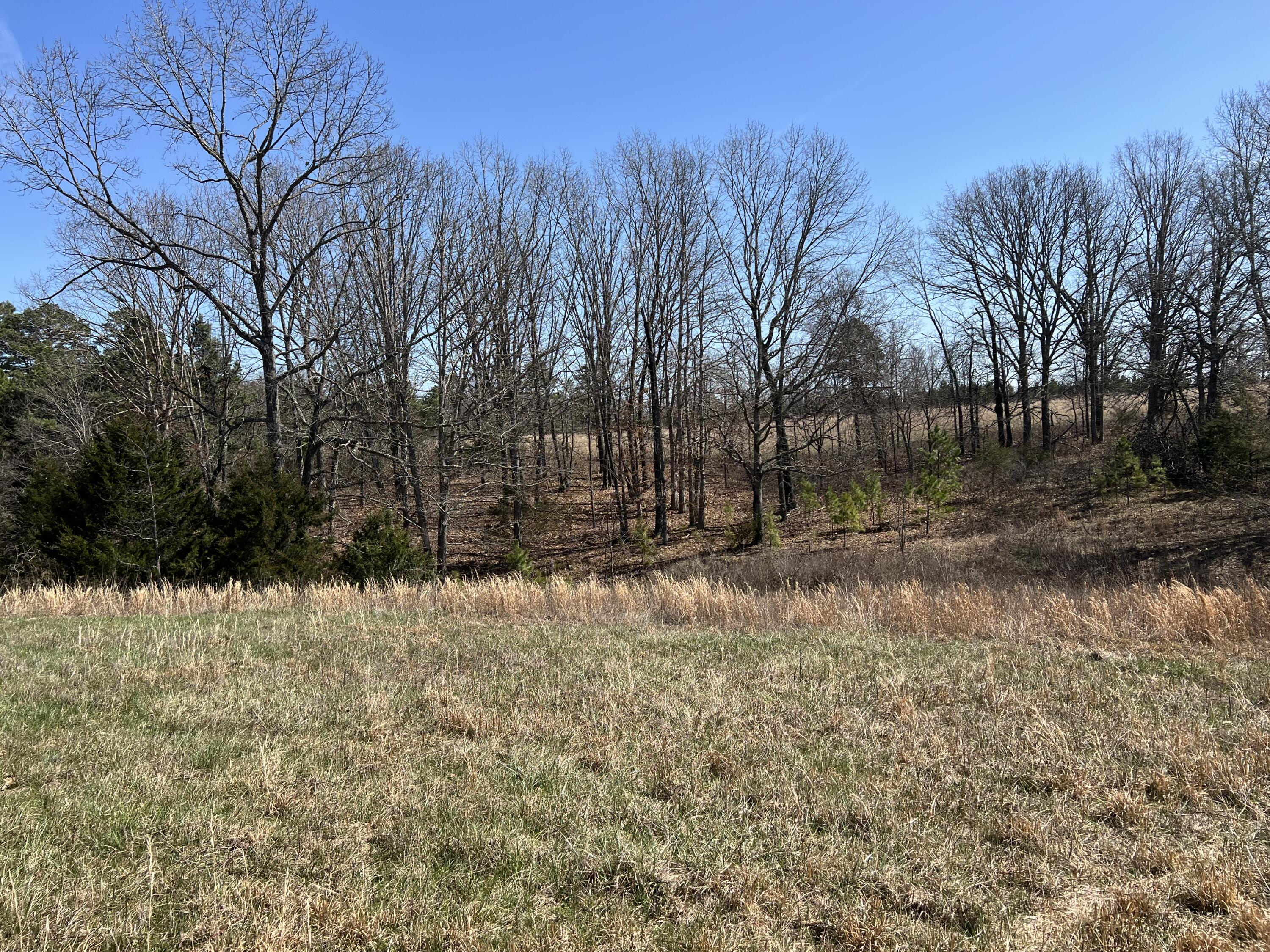 23813 State Route Z Property Photo 73