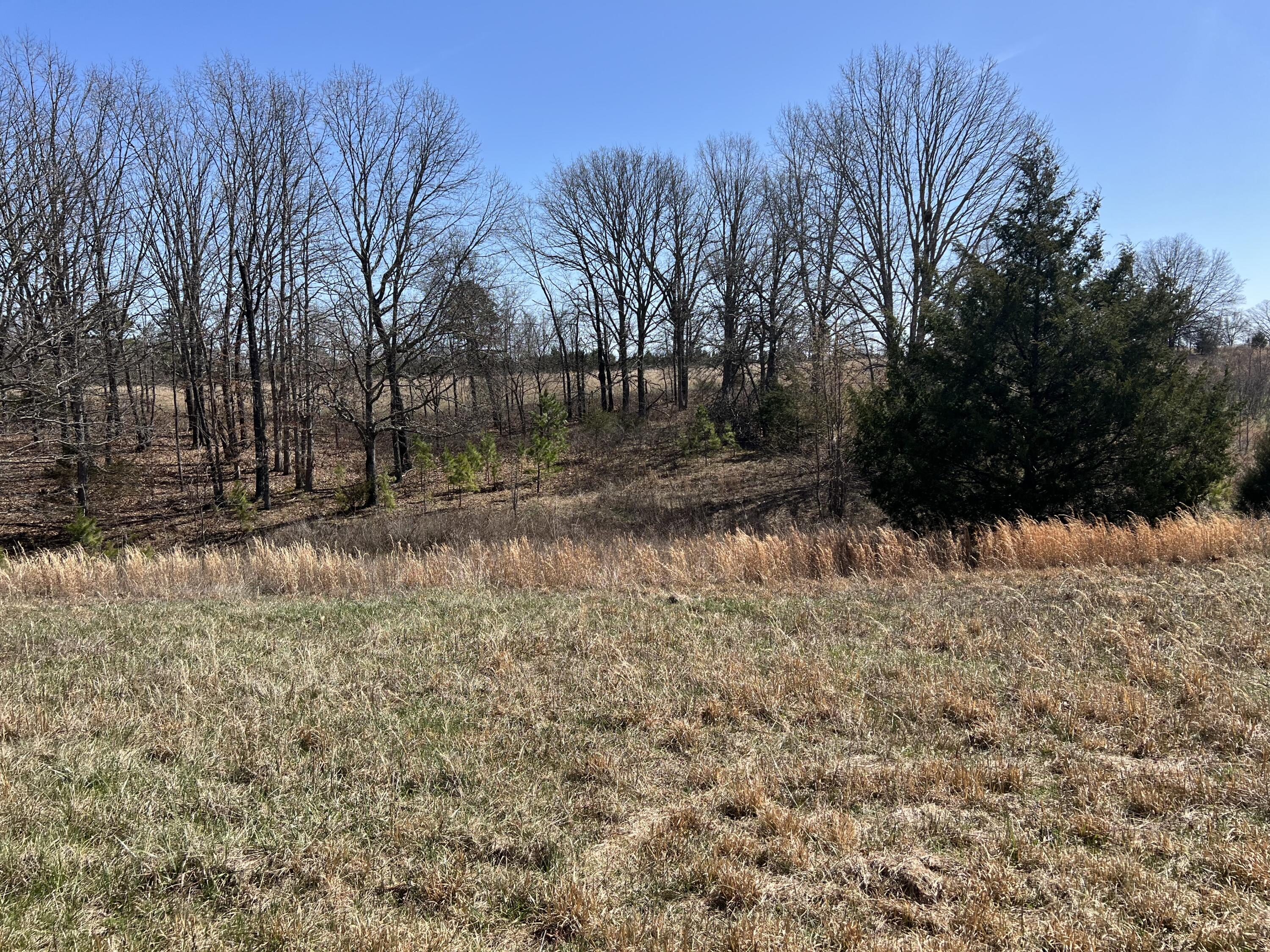 23813 State Route Z Property Photo 74