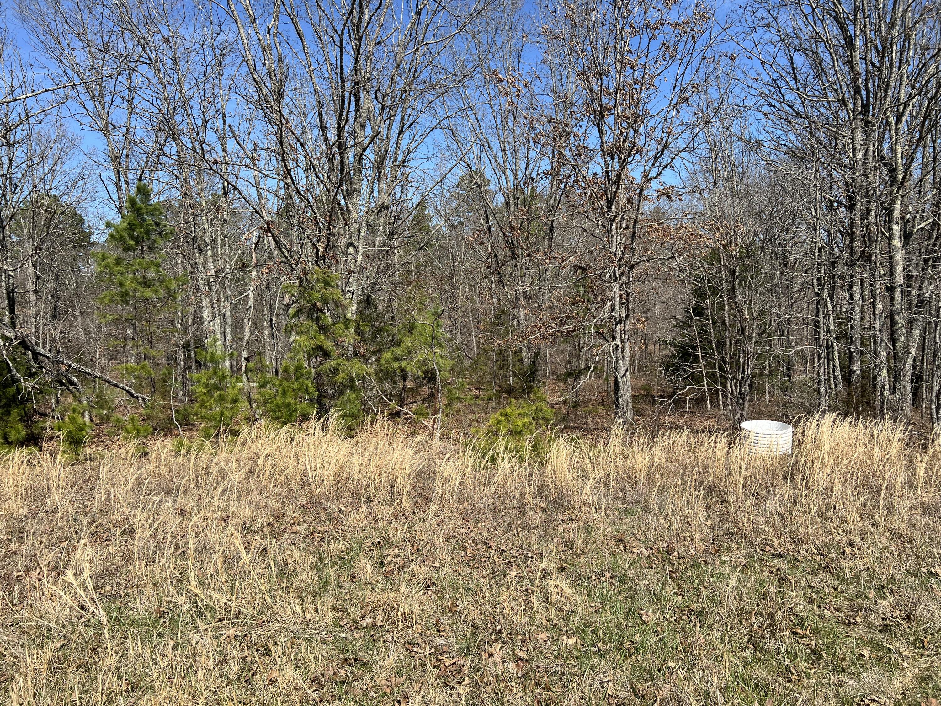 23813 State Route Z Property Photo 75