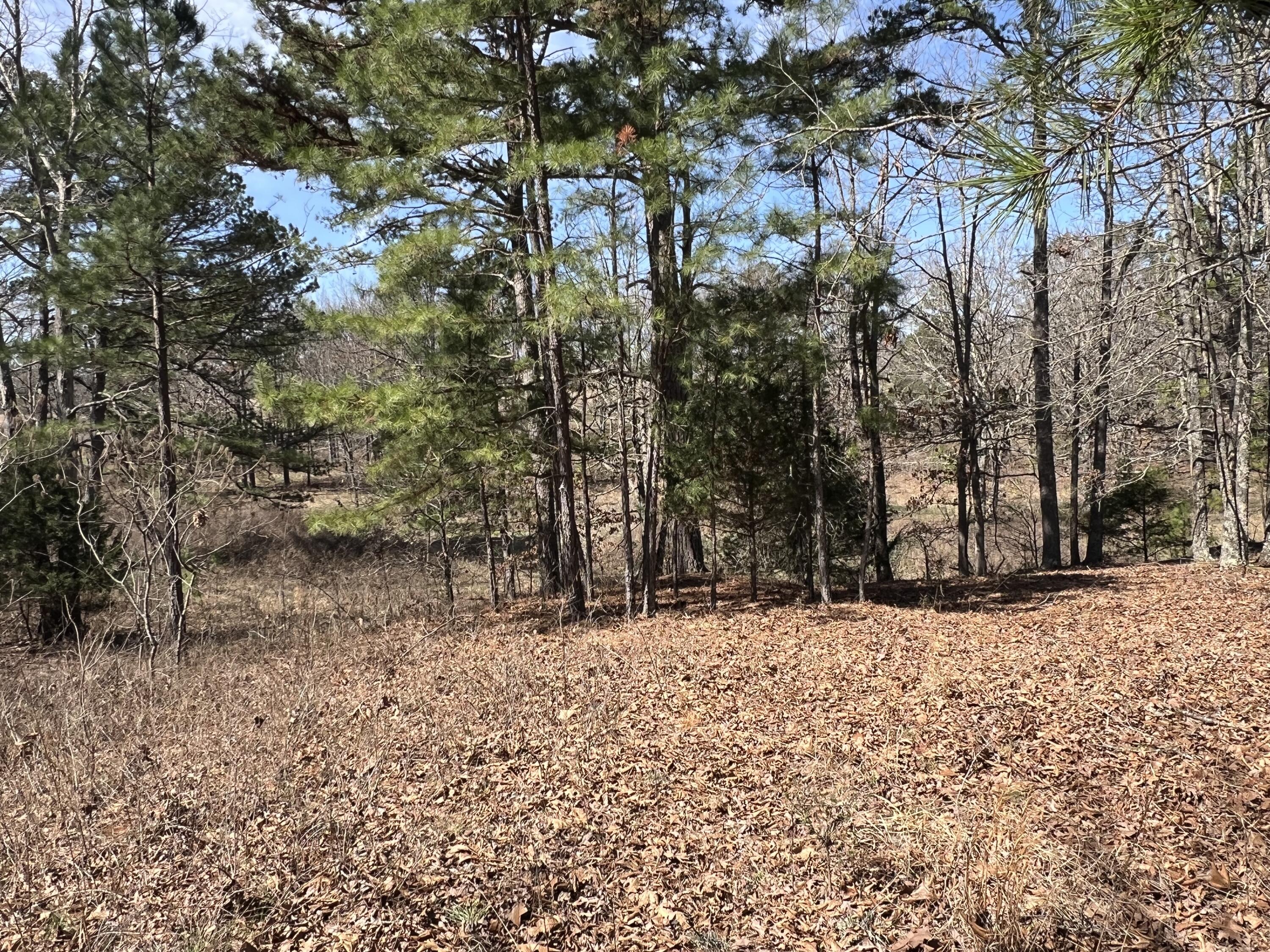 23813 State Route Z Property Photo 76