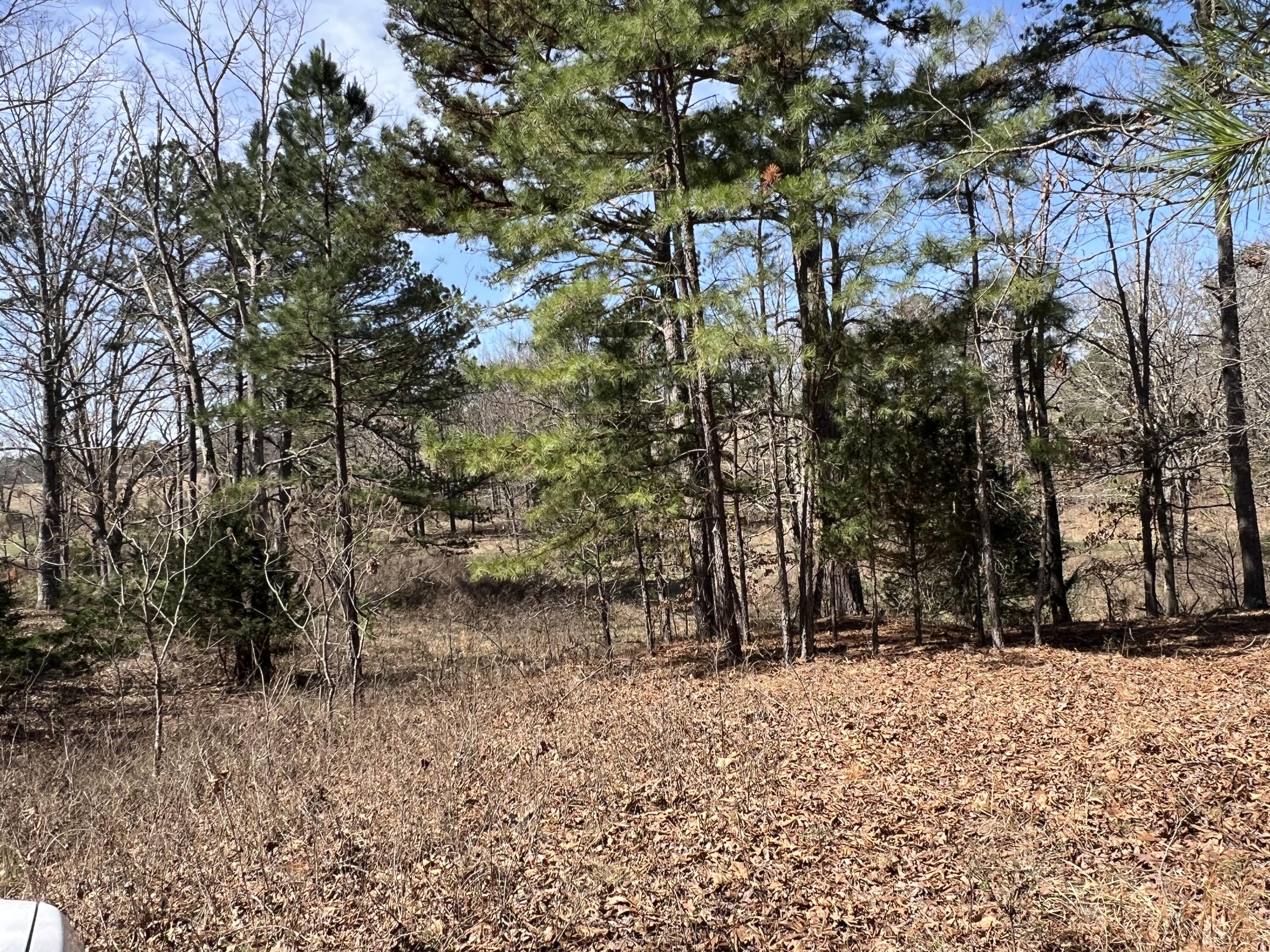 23813 State Route Z Property Photo 77