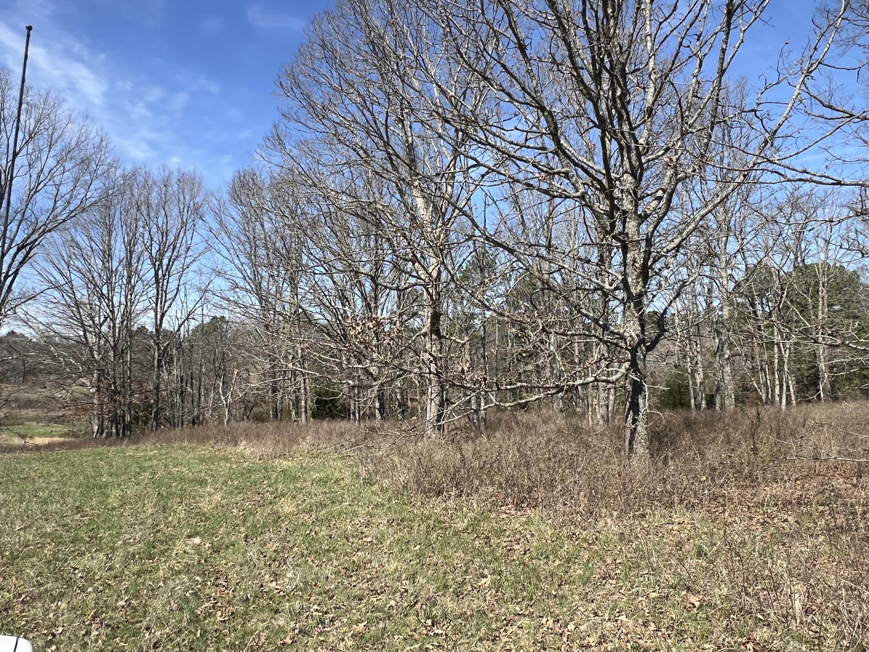 23813 State Route Z Property Photo 78