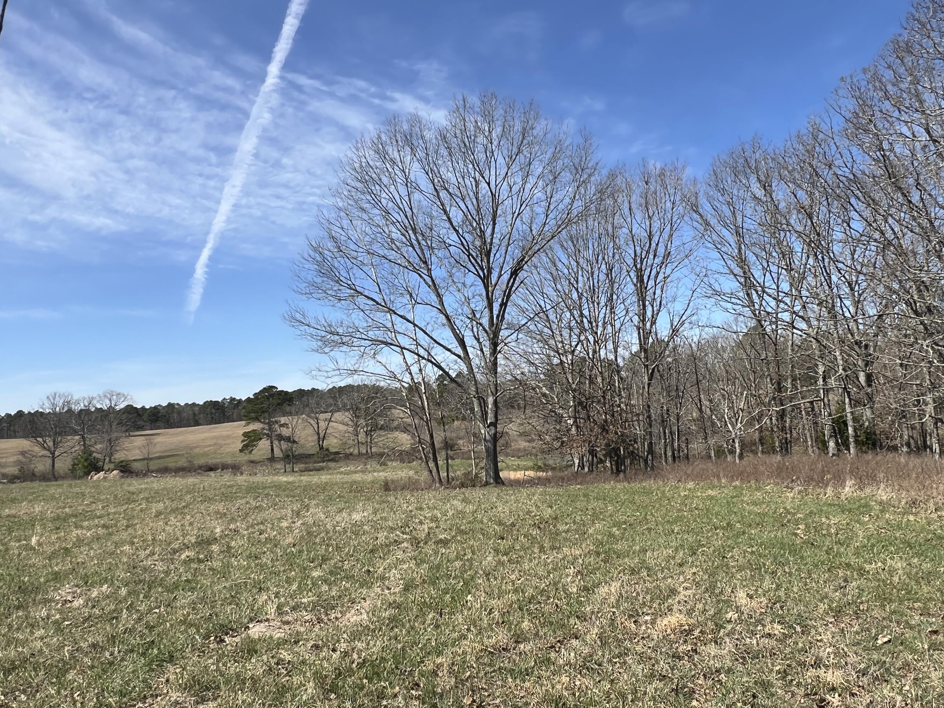 23813 State Route Z Property Photo 79