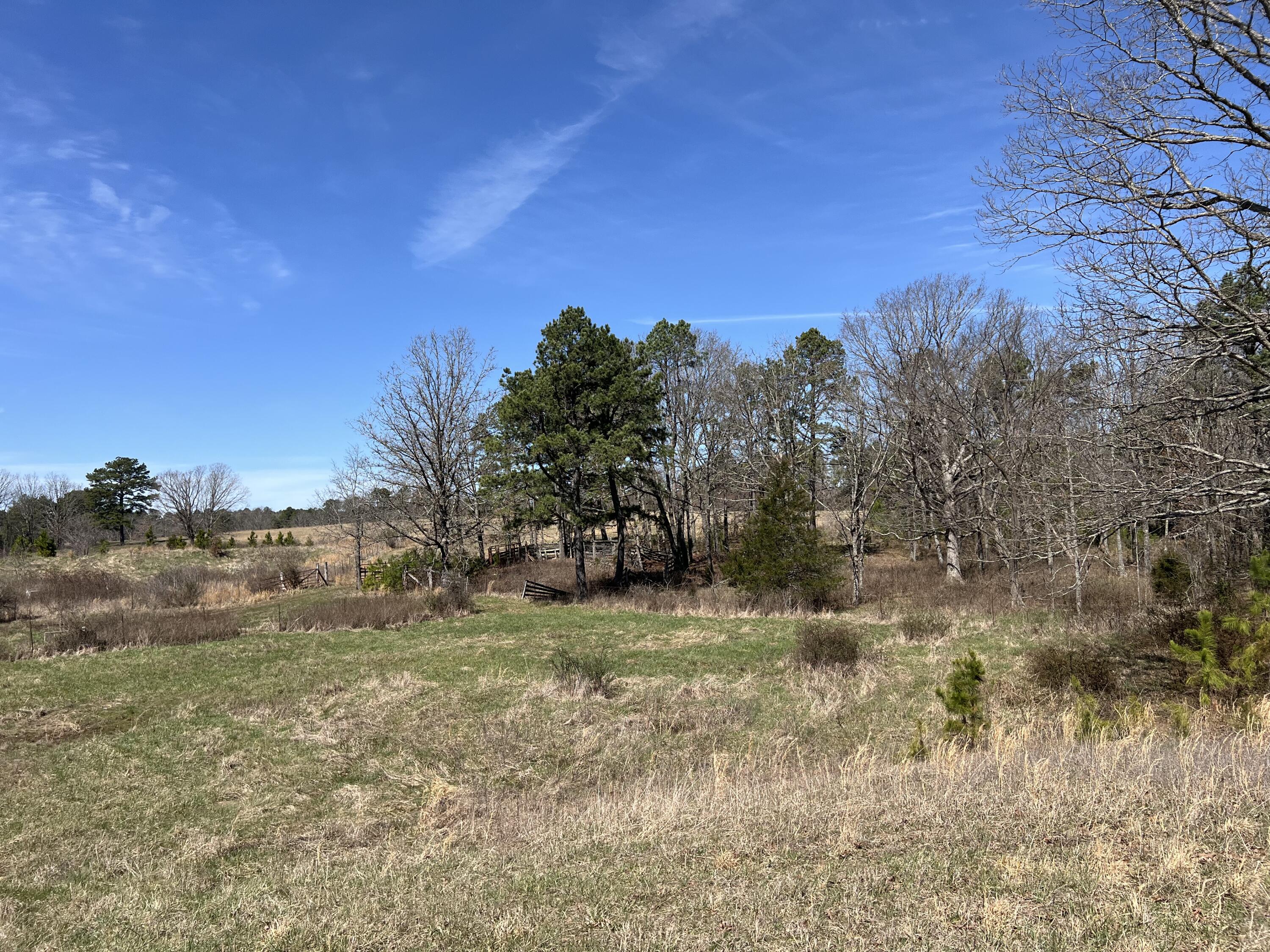 23813 State Route Z Property Photo 80