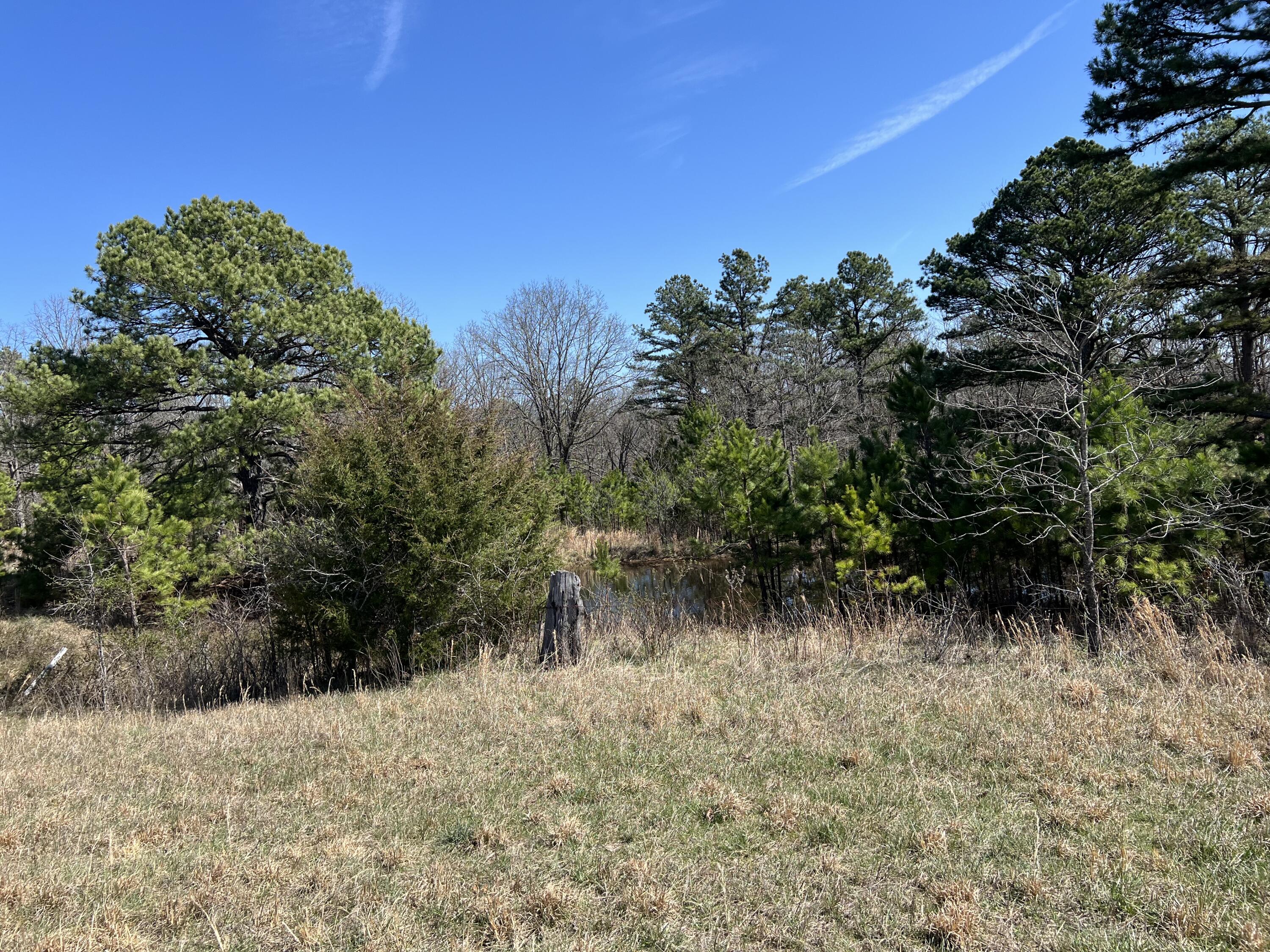 23813 State Route Z Property Photo 81