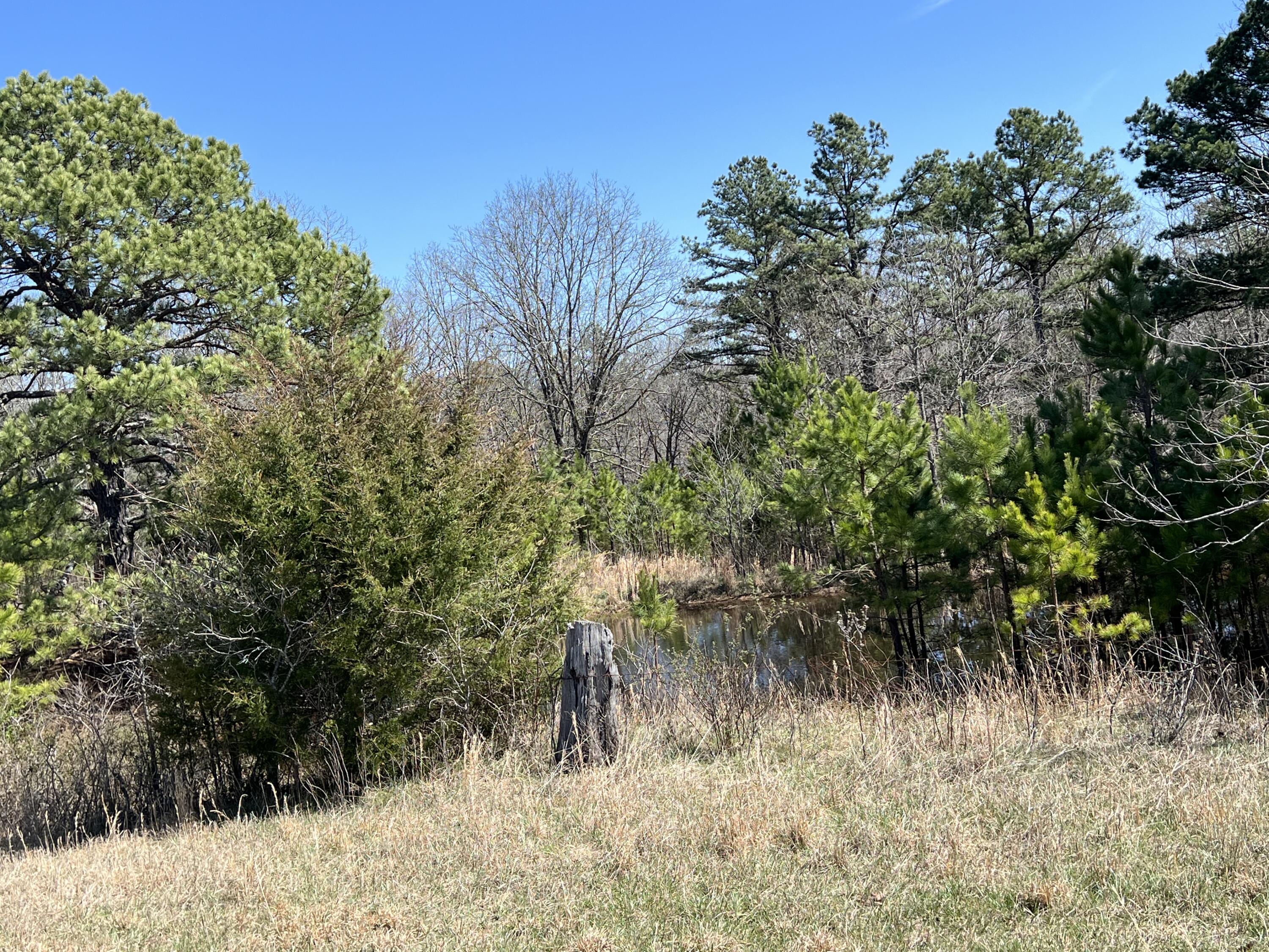 23813 State Route Z Property Photo 82