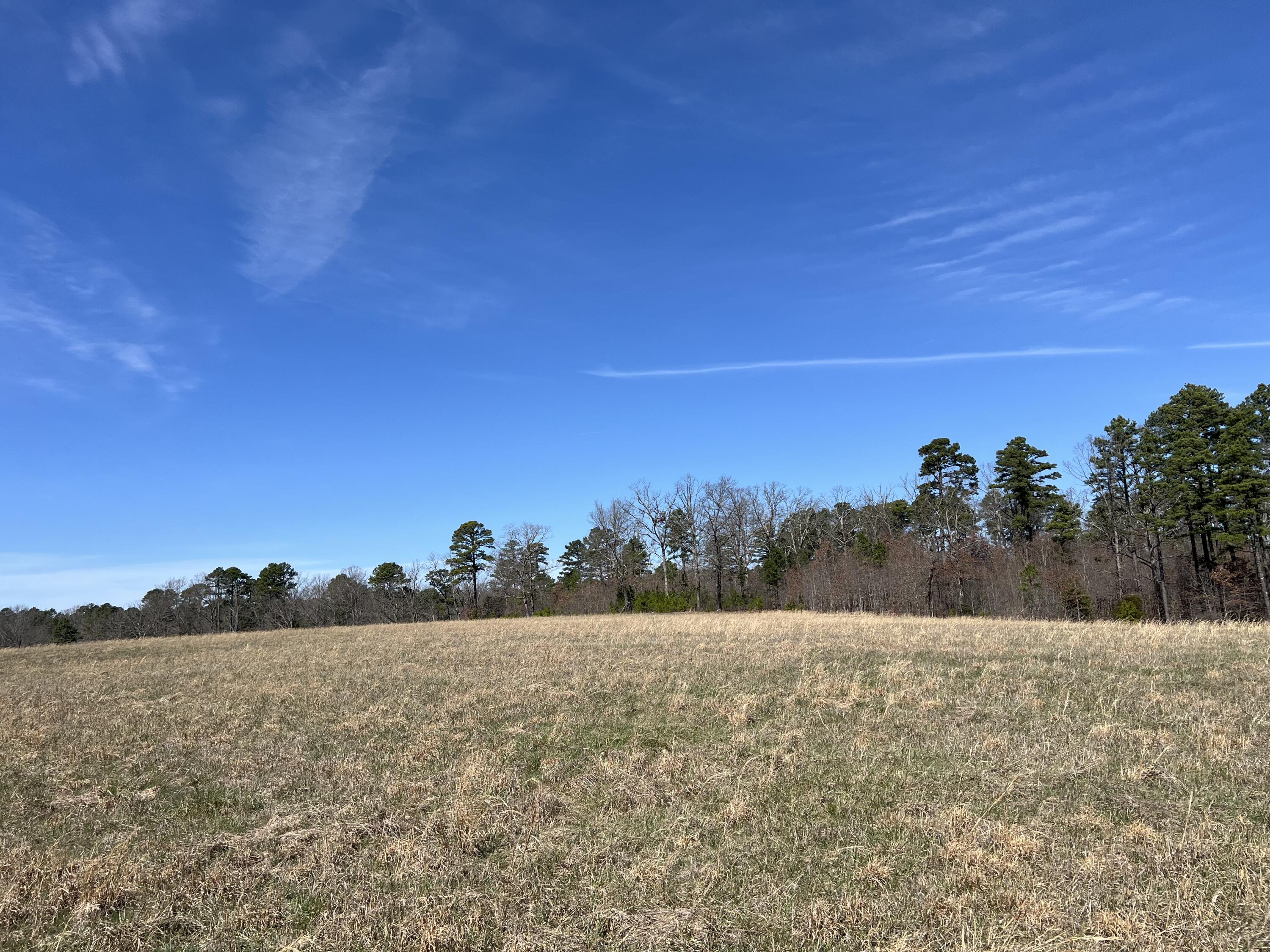 23813 State Route Z Property Photo 83