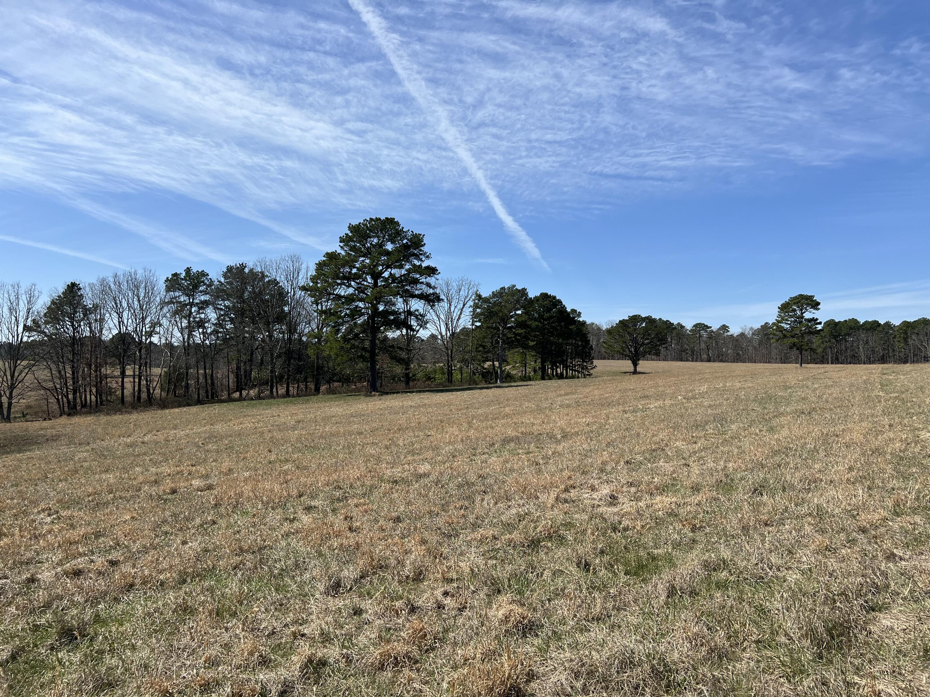 23813 State Route Z Property Photo 84