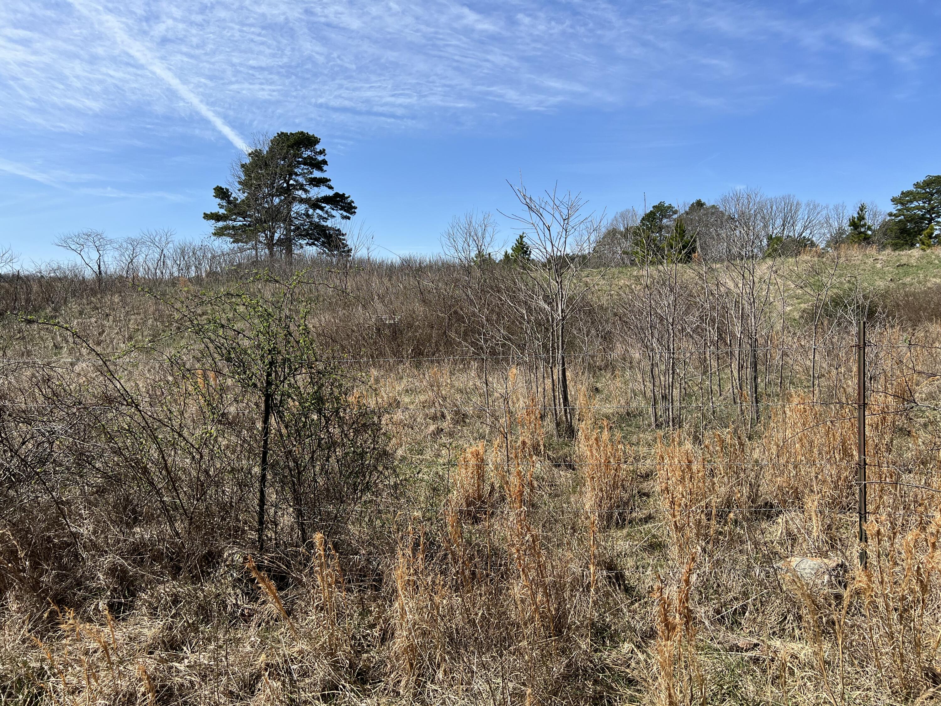 23813 State Route Z Property Photo 86