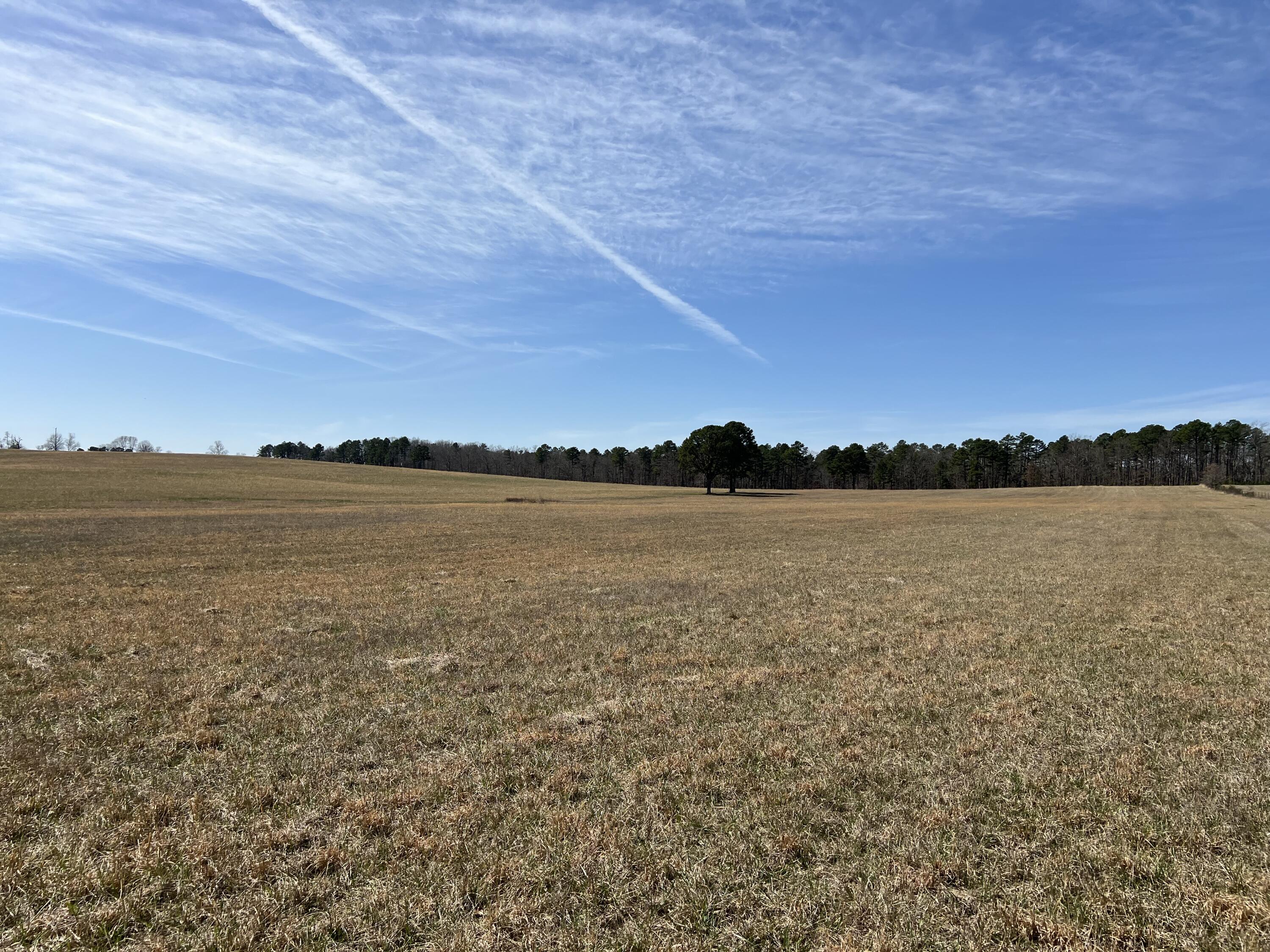 23813 State Route Z Property Photo 87