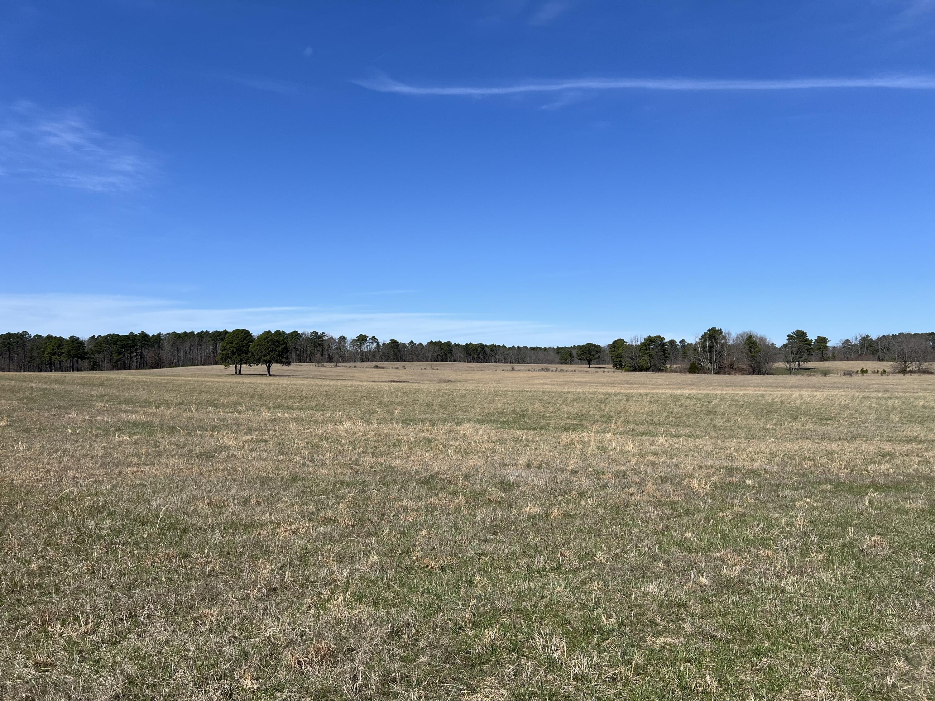 23813 State Route Z Property Photo 91